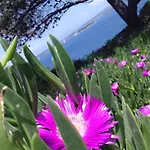 Seafront House Solta * ストモルスカ