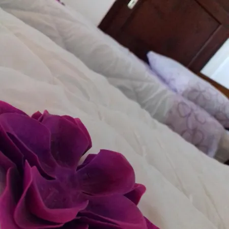 Seafront House Solta بيت للعطل